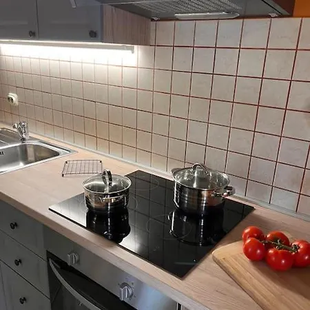 House Cicarija Apartman *