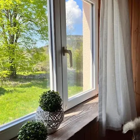 Apartman House Cicarija *
