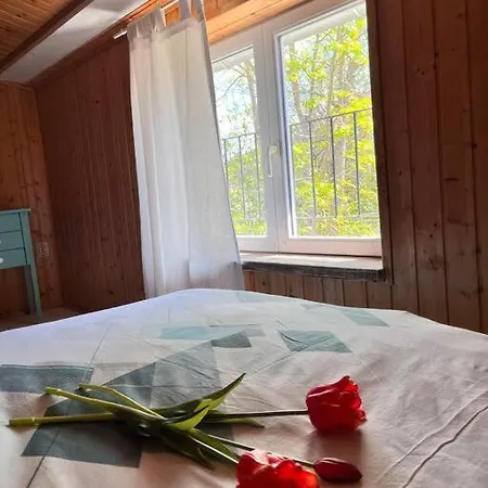 Apartman House Cicarija *